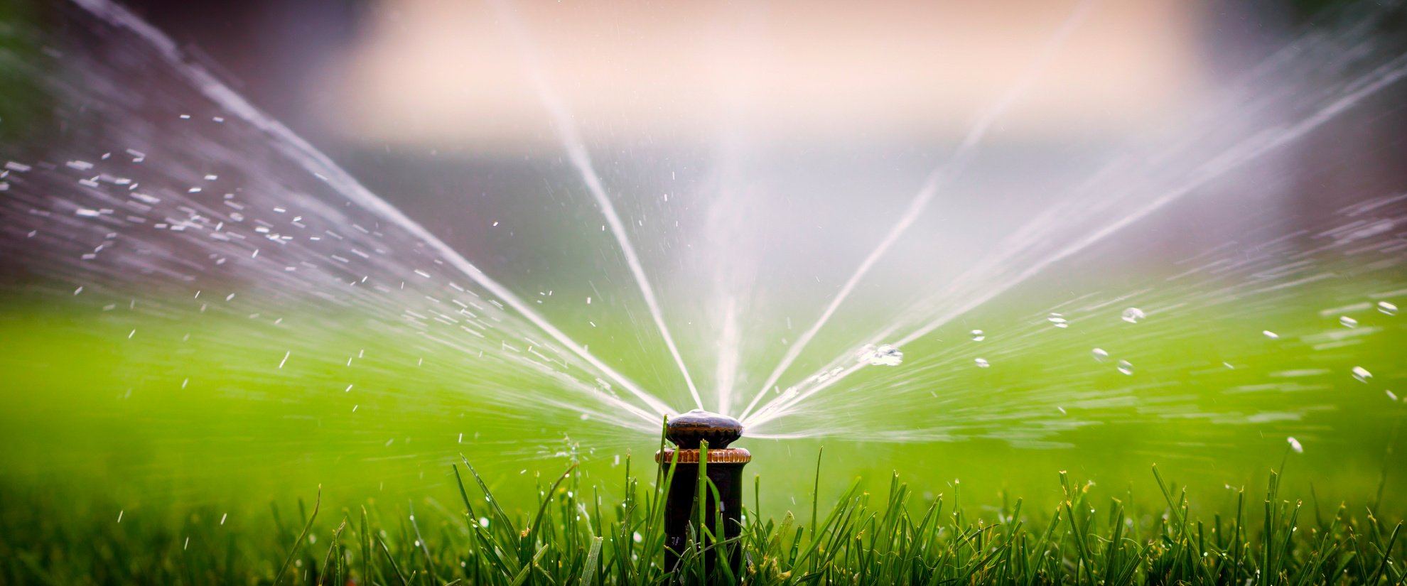 automatic sprinkler system watering the lawn