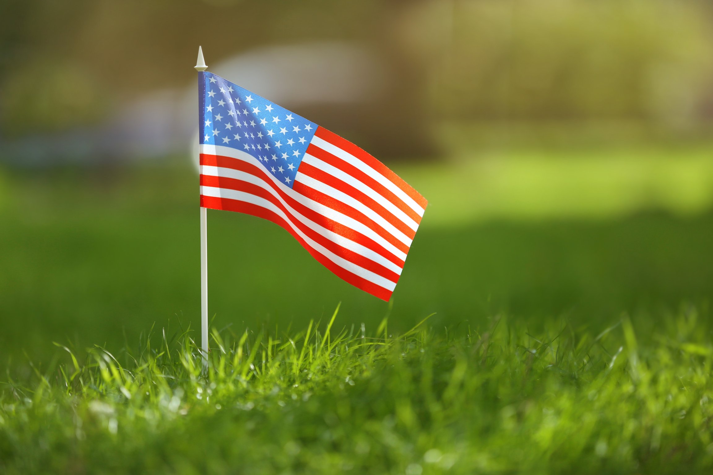 American Flag on Green Grass